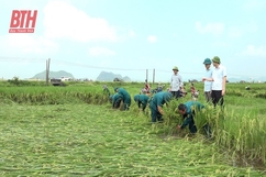 Vĩnh Lộc: Khẩn trương khắc phục thiệt hại sản xuất sau ảnh hưởng của mưa lớn