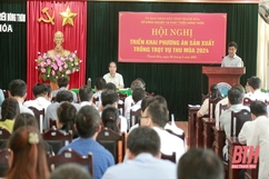 Ngành Nông nghiệp phấn đấu giá trị sản xuất vụ thu mùa 2024 đạt 9.178,7 tỷ đồng