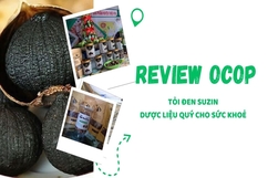 [REVIEW OCOP] Tỏi đen Suzin - Dược liệu quý cho sức khoẻ