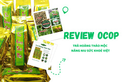 [REVIEW OCOP] Trà Hoàng Thảo Mộc- Nâng niu sức khoẻ Việt