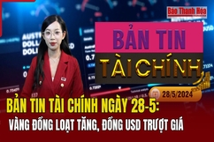 Bản tin Tài chính ngày 28/5: Vàng đồng loạt tăng, đồng USD trượt giá