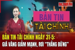 Bản tin Tài chính ngày 31/5: Giá vàng giảm mạnh, rơi “thẳng đứng”