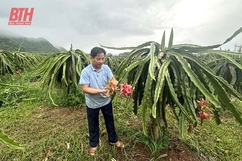 Nông dân Phạm Tiến Lượng làm kinh tế giỏi