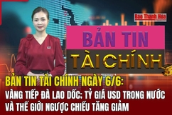 Bản tin Tài chính ngày 6/6: Vàng tiếp đà lao dốc; tỷ giá USD trong nước và thế giới ngược chiều tăng giảm