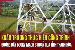  Khẩn trương thi công đường dây 500kV mạch 3 đoạn qua tỉnh Thanh Hóa