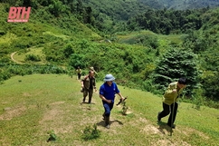 Trạm Kiểm lâm Pá Quăn thực hiện tốt công tác bảo vệ rừng