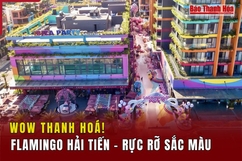 [Wow Thanh Hoá] Flamingo Hải Tiến - Rực rỡ sắc màu