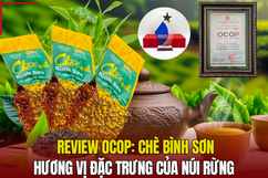 Chè Bình Sơn - Hương vị đặc trưng của núi rừng