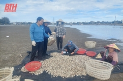 Nông dân làm giàu từ nuôi nhuyễn thể