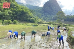 Giảm thiểu thiệt hại trong sản xuất nông nghiệp do thiên tai gây ra