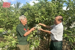 Cựu chiến binh làm kinh tế giỏi, sống nghĩa tình