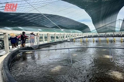 Khó khăn trong thực hiện chính sách khuyến khích khoa học và công nghệ