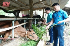 Tạo điều kiện cho đoàn viên, thanh niên phát triển kinh tế