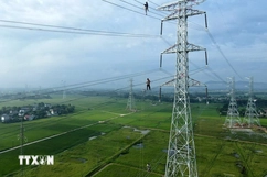 Hoàn thành đóng điện đường dây 500kV mạch 3 đoạn Nam Định 1-Phố Nối