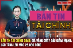 Bản tin Tài chính 29/8: Giá vàng quay đầu giảm mạnh; USD tăng lên mốc 25.090 đồng