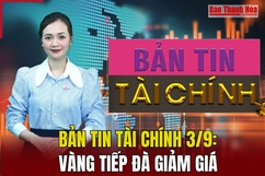 Bản tin Tài chính 3/9: Vàng tiếp đà giảm giá