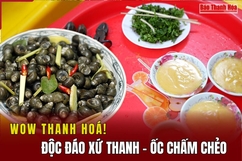 [WOW! THANH HÓA]: Độc đáo xứ Thanh - Ốc chấm chẻo