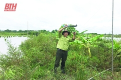 Xử lý nghiêm các trường hợp bẫy bắt, tận diệt chim hoang dã, chim di cư