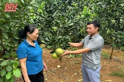 Trưởng thôn nhiệt huyết với công việc tập thể