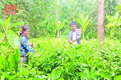 Xây dựng đội ngũ cán bộ cơ sở là người dân tộc thiểu số (Bài cuối): “Coi trọng chất lượng hơn số lượng”