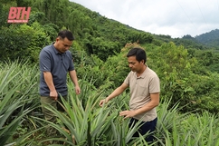 Những người Mông “đi ngược” tìm ấm no nơi biên viễn (Bài 3): Đảng viên tiên phong đưa ruộng về... bản