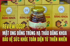 [REVIEW OCOP]  Mật ong đông trùng hạ thảo Đăng Khoa: Bảo vệ sức khỏe toàn diện từ thiên nhiên