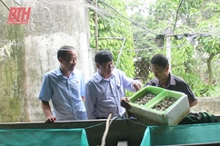 Lan tỏa phong trào thi đua “Cựu chiến binh gương mẫu”