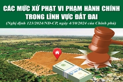 [Infographics] - Các mức xử phạt vi phạm hành chính trong lĩnh vực đất đai