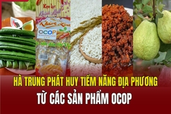 Hà Trung phát huy tiềm năng địa phương từ các sản phẩm OCOP