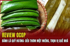 [REVIEW OCOP] - Bánh lá Quý Hương: Dẻo thơm trọn vị quê nhà