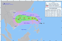 Chủ động ứng phó với bão TRAMI