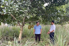 Thạch Thành phát huy vai trò người có uy tín trong đồng bào dân tộc thiểu số