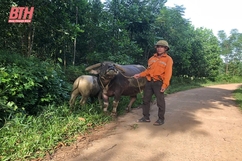 Trao sinh kế - “chìa khóa” giúp người dân thoát nghèo bền vững