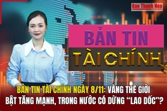 Bản tin Tài chính 8/11: Vàng thế giới bật tăng mạnh, trong nước có dừng “lao dốc”?