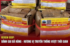 [REVIEW OCOP] -  Bánh gai bà Hùng: Hương vị truyền thống vượt thời gian