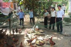 “Trái ngọt” từ những dự án giảm nghèo