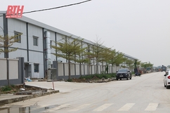 Hoằng Hóa nỗ lực thu hút đầu tư phát triển