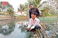 Nhiều hộ dân ở Như Thanh thoát nghèo nhờ vốn tín dụng chính sách