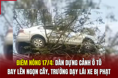 Điểm nóng 17/4: Dàn dựng cảnh ô tô bay lên ngọn cây, trường dạy lái xe bị phạt