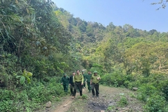 Bảo vệ rừng ở vùng biên