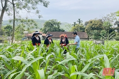 Nhân hội nghị biểu dương trưởng ban công tác mặt trận tiêu biểu tỉnh Thanh Hóa, giai đoạn 2020-2025: Xứng đáng là “nhịp cầu” nối “ý Đảng - lòng dân”