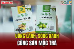 [REVIEW OCOP] Uống lành, sống xanh cùng Sơn Mộc Trà