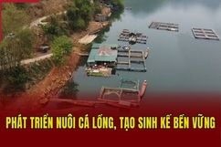 Phát triển nuôi cá lồng, tạo sinh kế bền vững