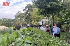 “ Kỳ nghỉ xanh” ở các khu du lịch sinh thái cộng đồng