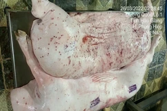 Vụ C.P bị tố bán thịt heo bệnh: Chính thức đề nghị Bộ Công an vào cuộc