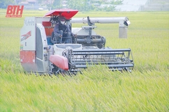 Nông nghiệp thời công nghệ số