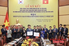 Thanh Hóa - Seongnam: Hướng tới tương lai bền vững