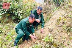 Bảo vệ môi trường đất: Vấn đề cần quan tâm