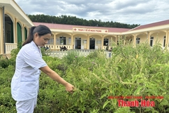 Nâng cao năng lực trạm y tế xã, phường, thị trấn
