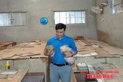 Thoát nghèo từ phong trào đồng hành cùng thanh niên lập nghiệp
